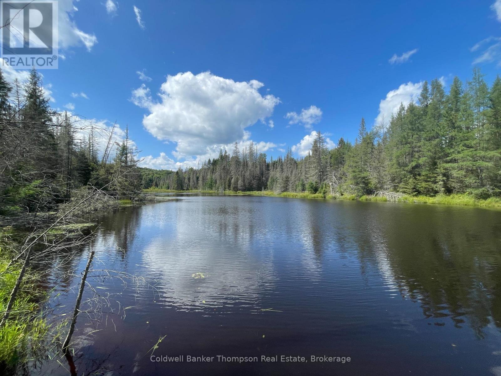 458 Leighton Road, Machar, Ontario P0A 1X0 - Photo 44 - X13715336