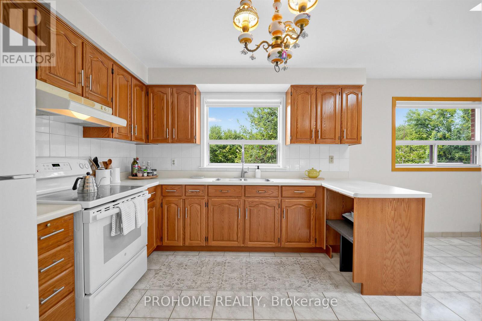 10 Joel Avenue, Georgina, Ontario  L0E 1S0 - Photo 13 - N13715248
