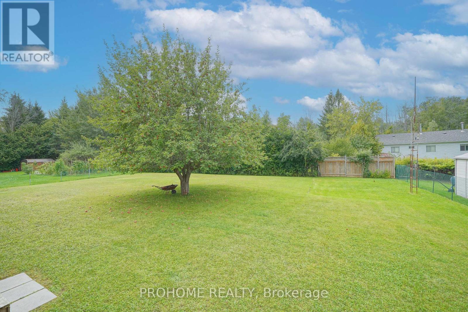 10 Joel Avenue, Georgina, Ontario  L0E 1S0 - Photo 26 - N13715248