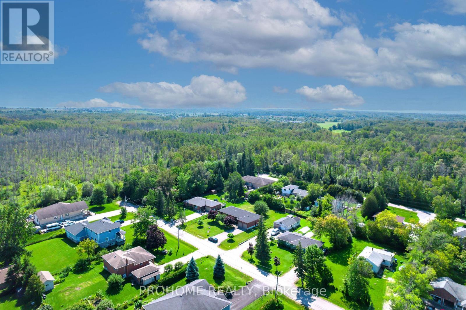 10 Joel Avenue, Georgina, Ontario  L0E 1S0 - Photo 41 - N13715248