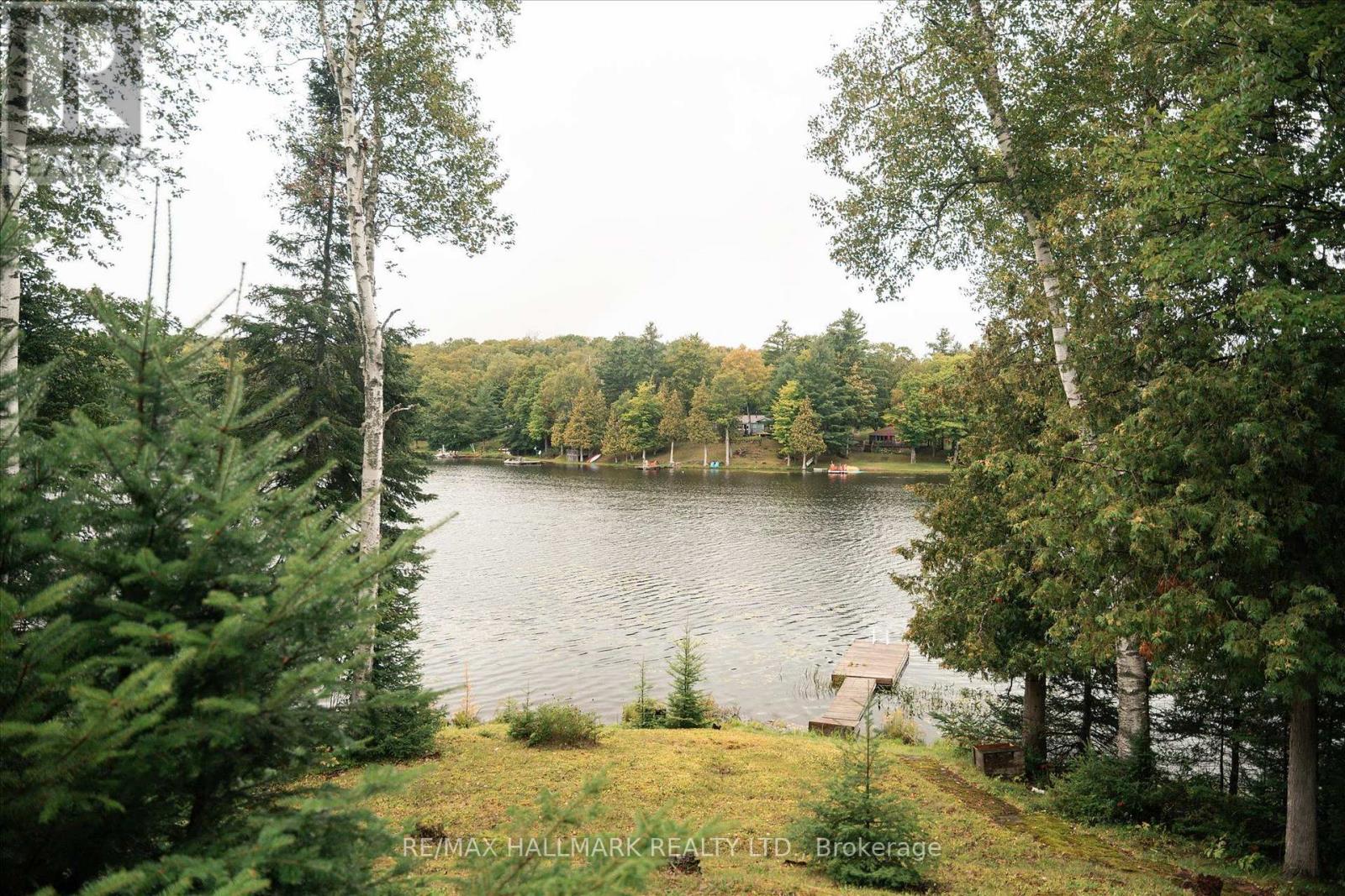 1124 Comfort Drive, Highlands East, Ontario  K0M 1R0 - Photo 26 - X13715170