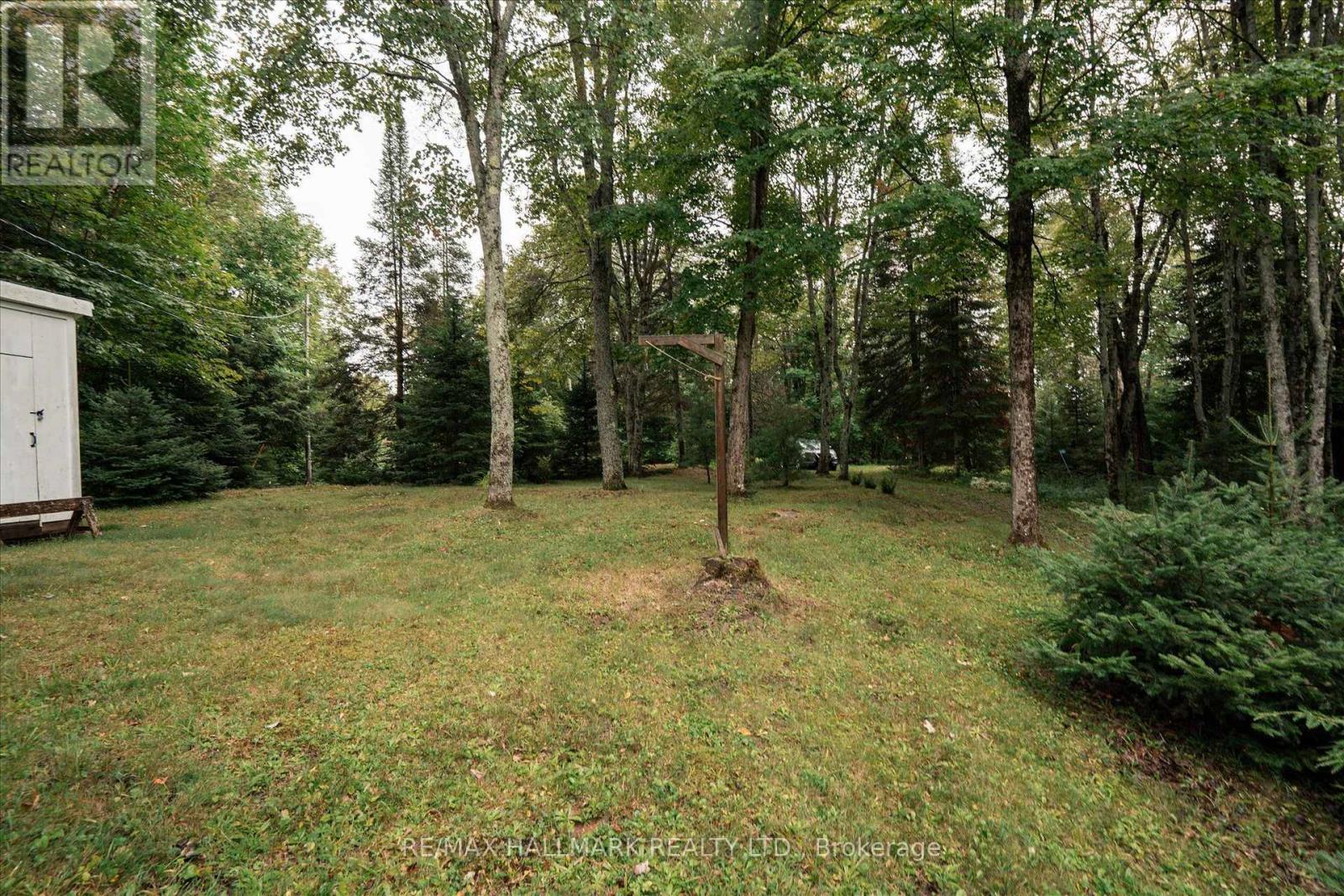 1124 Comfort Drive, Highlands East, Ontario  K0M 1R0 - Photo 3 - X13715170