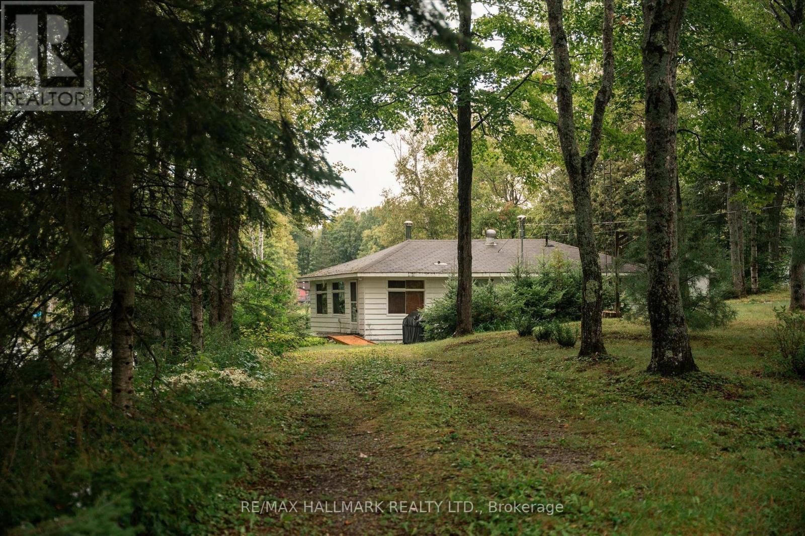 1124 Comfort Drive, Highlands East, Ontario  K0M 1R0 - Photo 4 - X13715170