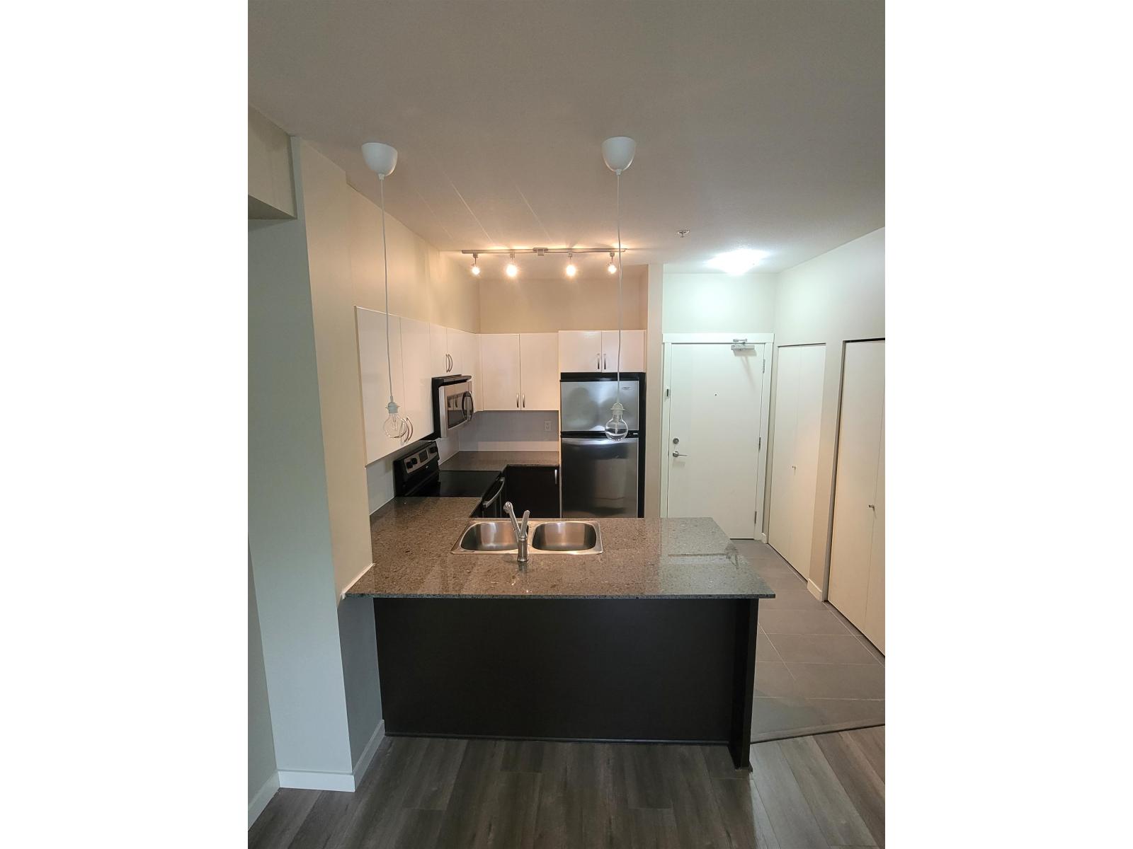 229 13789 107a Street, Surrey, British Columbia V3T 0B8 - Photo 3 - R3159125