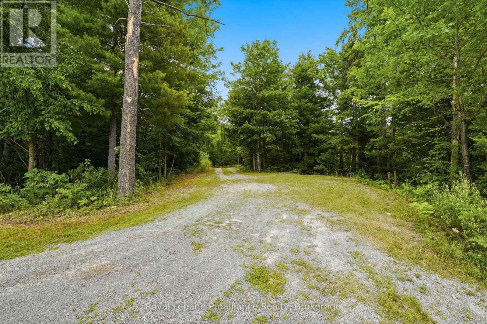 1519 Rockies Road, Tweed, Ontario  K0K 2K0 - Photo 50 - X13715468