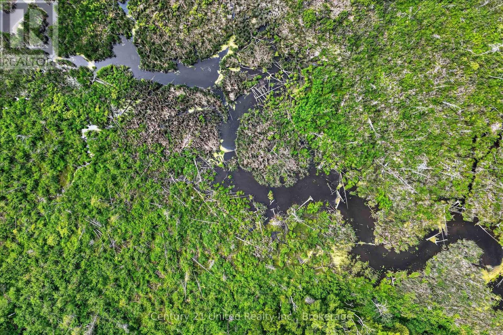 93 Loop Line, Kawartha Lakes, Ontario  K0L 2W0 - Photo 4 - X13715482