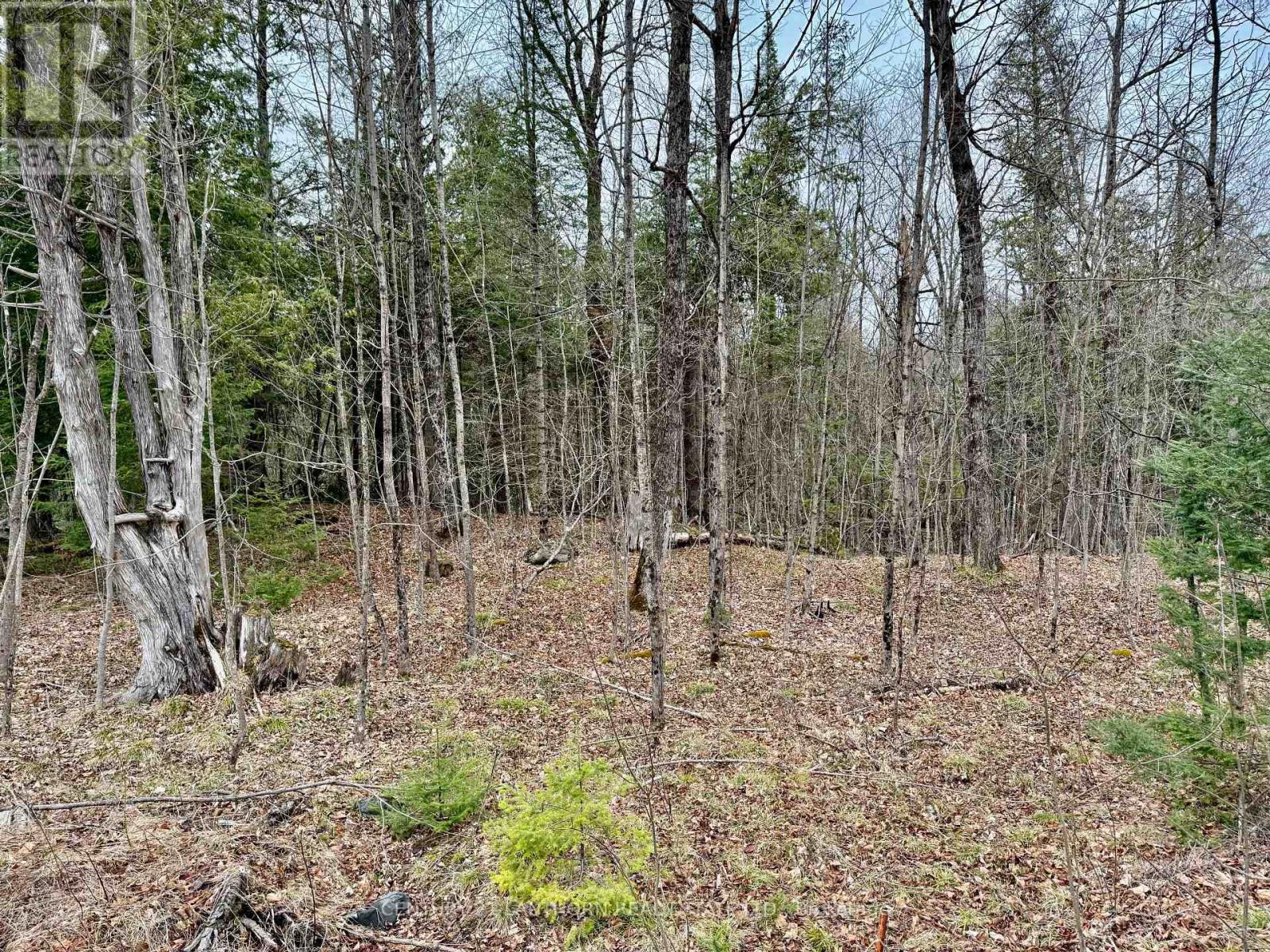 885 Cleveland Road, Tudor And Cashel, Ontario  K0K 1Y0 - Photo 11 - X13715512
