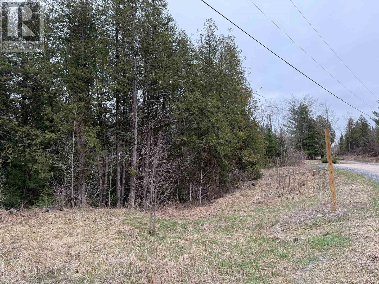 885 Cleveland Road, Tudor And Cashel, Ontario  K0K 1Y0 - Photo 12 - X13715512
