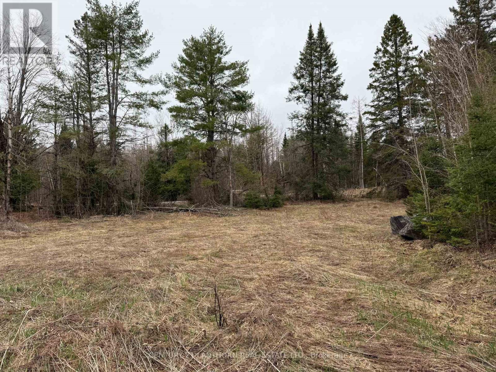 885 Cleveland Road, Tudor And Cashel, Ontario  K0K 1Y0 - Photo 8 - X13715512