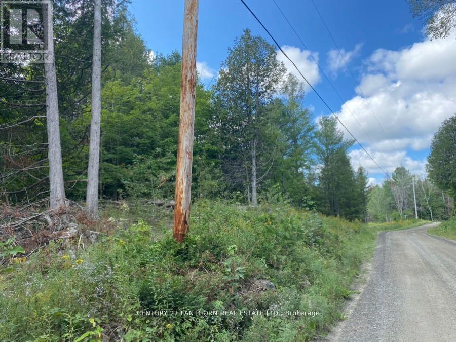 0 Stoney Settlement Road, Tudor And Cashel, Ontario  K0K 1Y0 - Photo 12 - X13715552