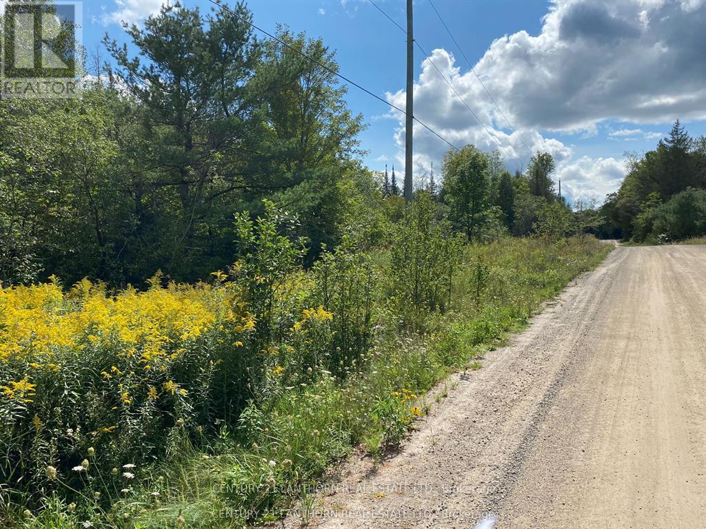 0 Stoney Settlement Road, Tudor And Cashel, Ontario  K0K 1Y0 - Photo 13 - X13715552