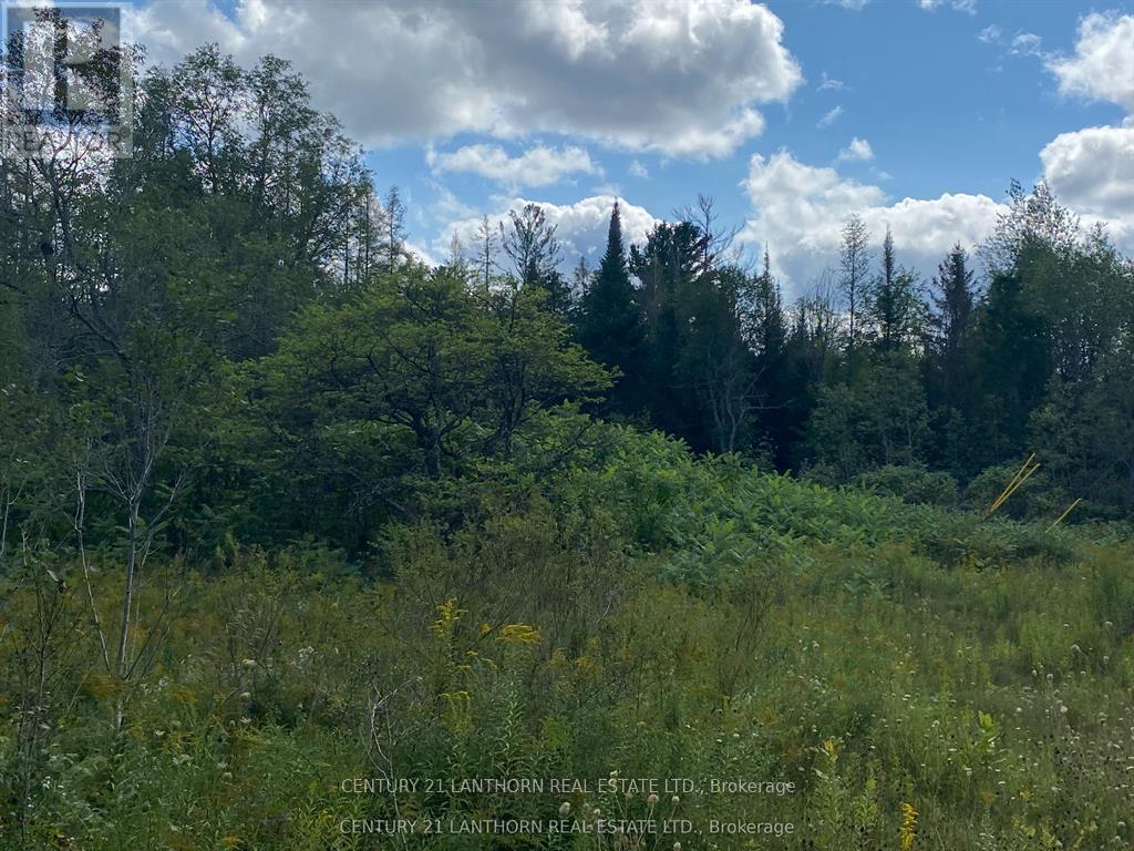 0 Stoney Settlement Road, Tudor And Cashel, Ontario  K0K 1Y0 - Photo 18 - X13715552