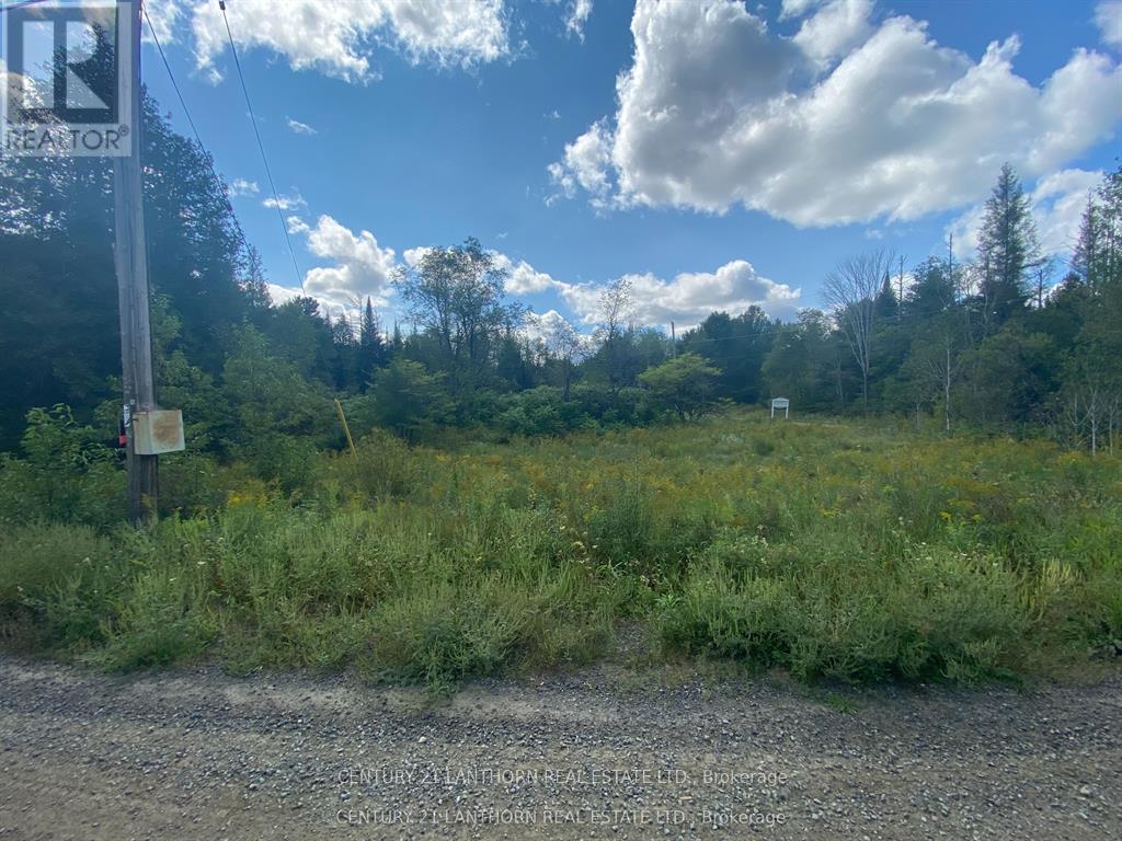 0 Stoney Settlement Road, Tudor And Cashel, Ontario  K0K 1Y0 - Photo 21 - X13715552