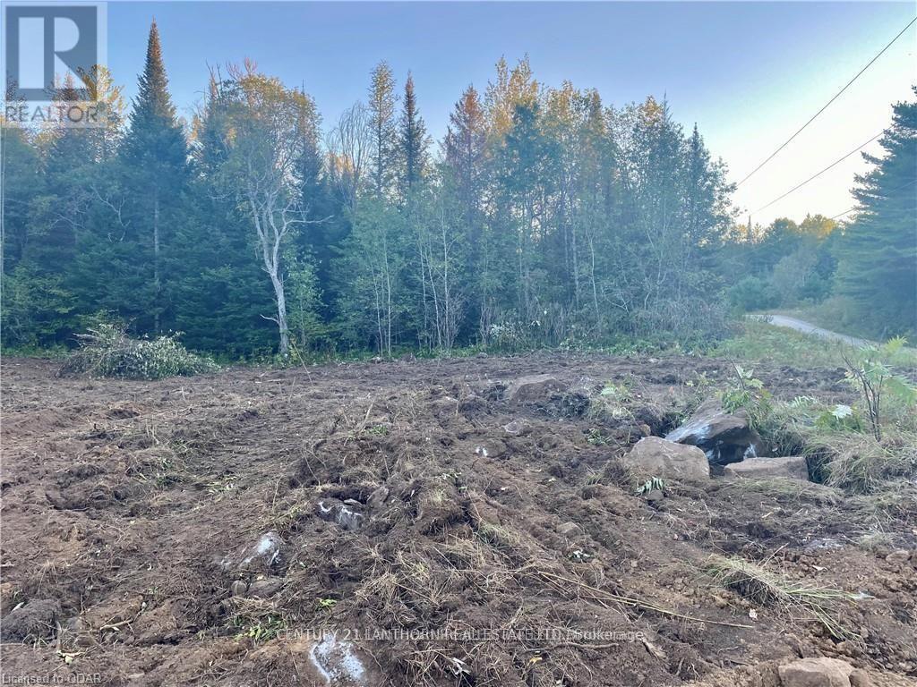 0 Stoney Settlement Road — photo 3