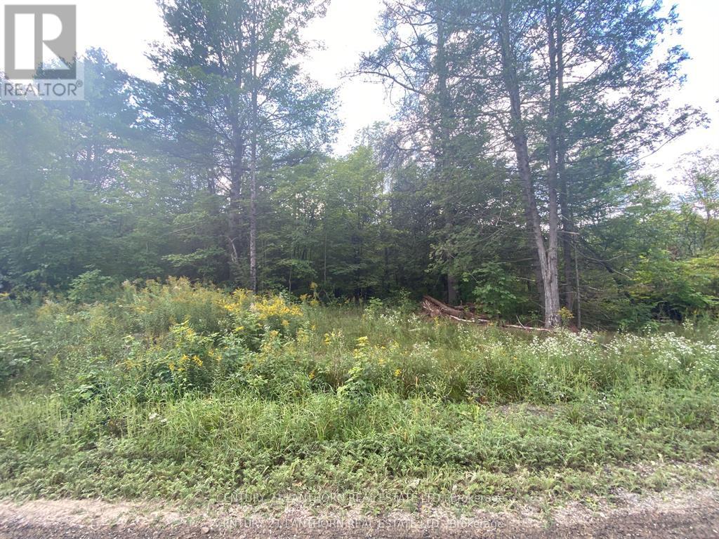 0 Stoney Settlement Road, Tudor And Cashel, Ontario  K0K 1Y0 - Photo 5 - X13715552