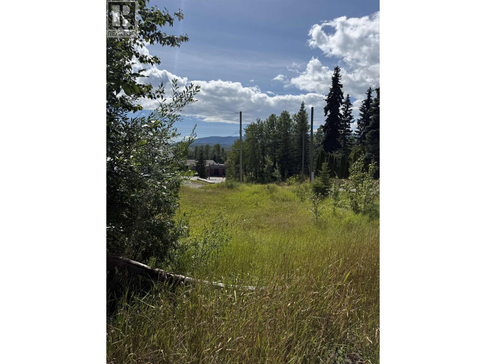 16 9th Avenue, Burns Lake, British Columbia  V0J 1E0 - Photo 3 - R3159126
