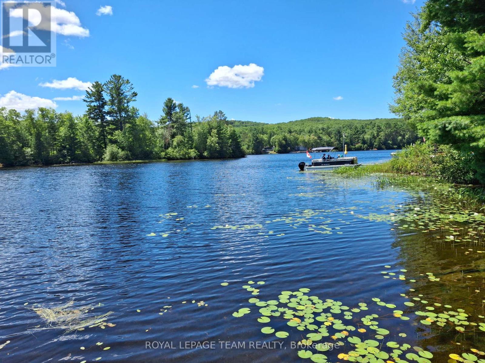 112 Golfers Lane, Hastings Highlands, Ontario  K0J 1L0 - Photo 11 - X13106284