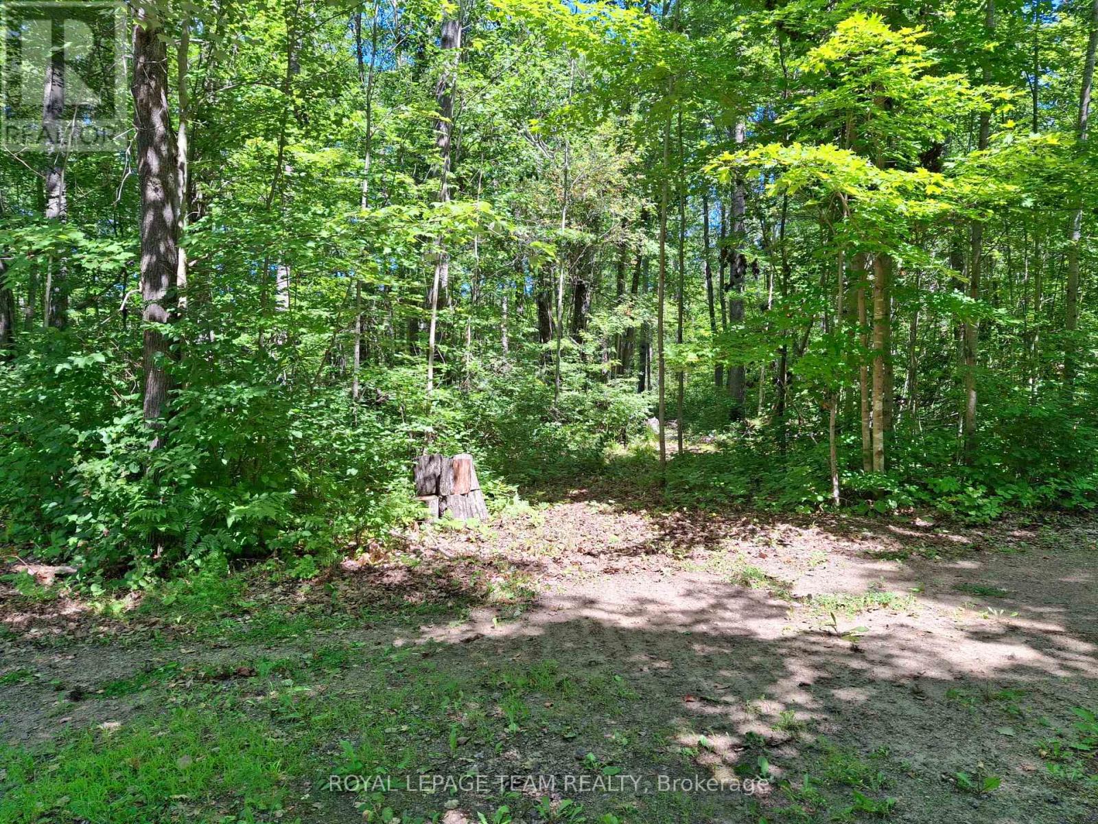 112 Golfers Lane, Hastings Highlands, Ontario  K0J 1L0 - Photo 43 - X13106284