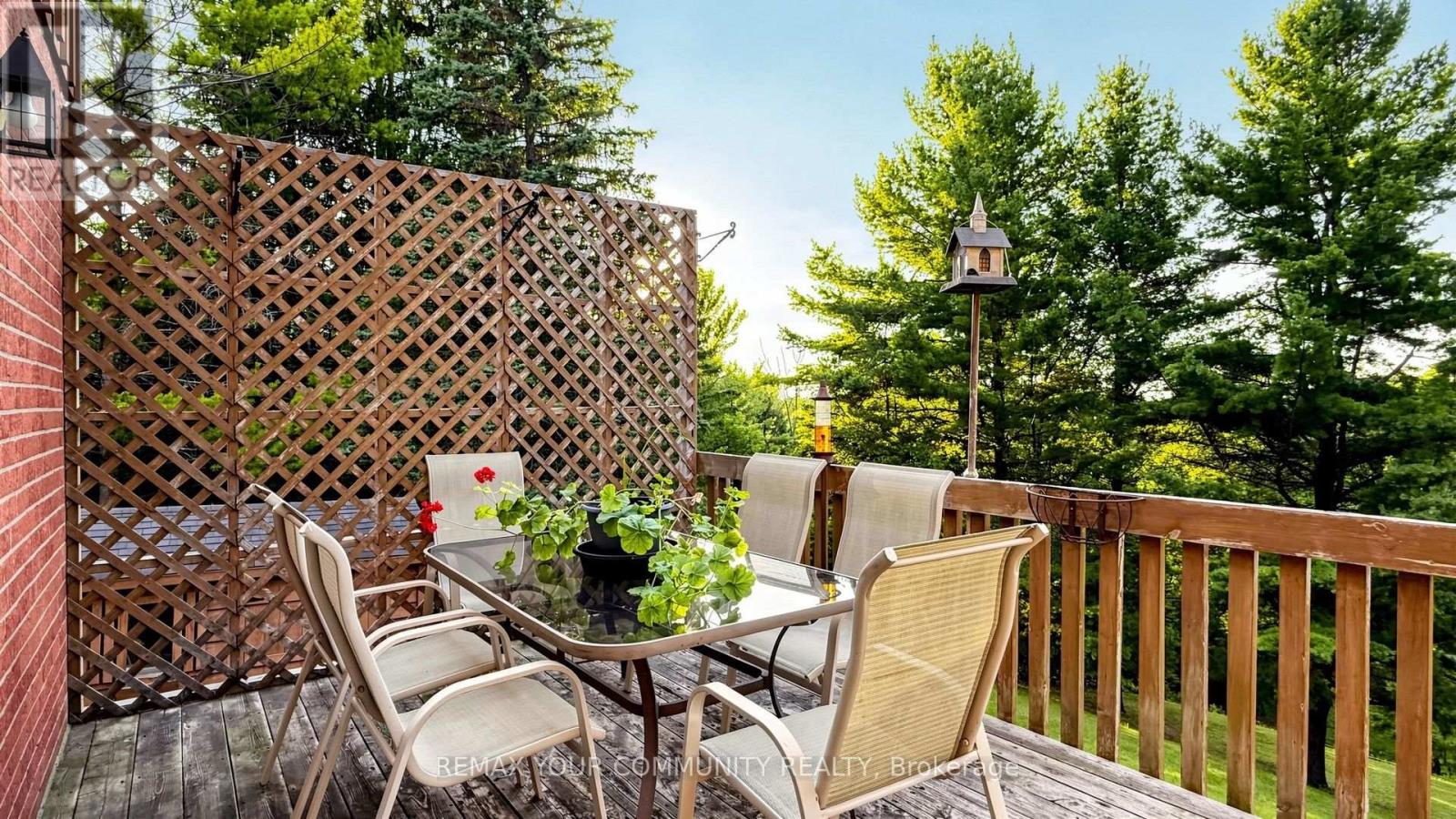 243 Ridge Road, Aurora, Ontario  L4G 0M3 - Photo 46 - N13715534
