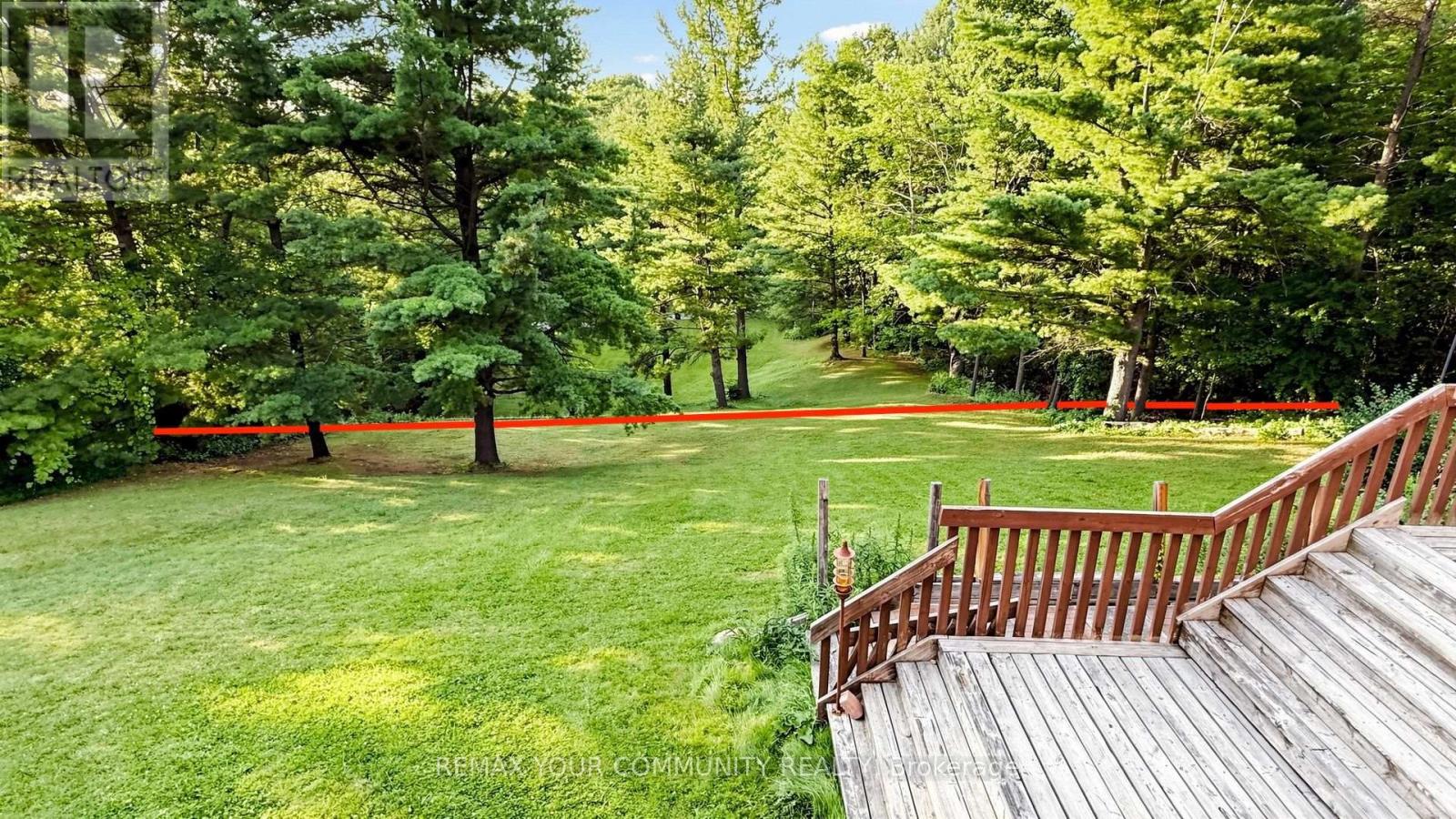 243 Ridge Road, Aurora, Ontario  L4G 0M3 - Photo 48 - N13715534