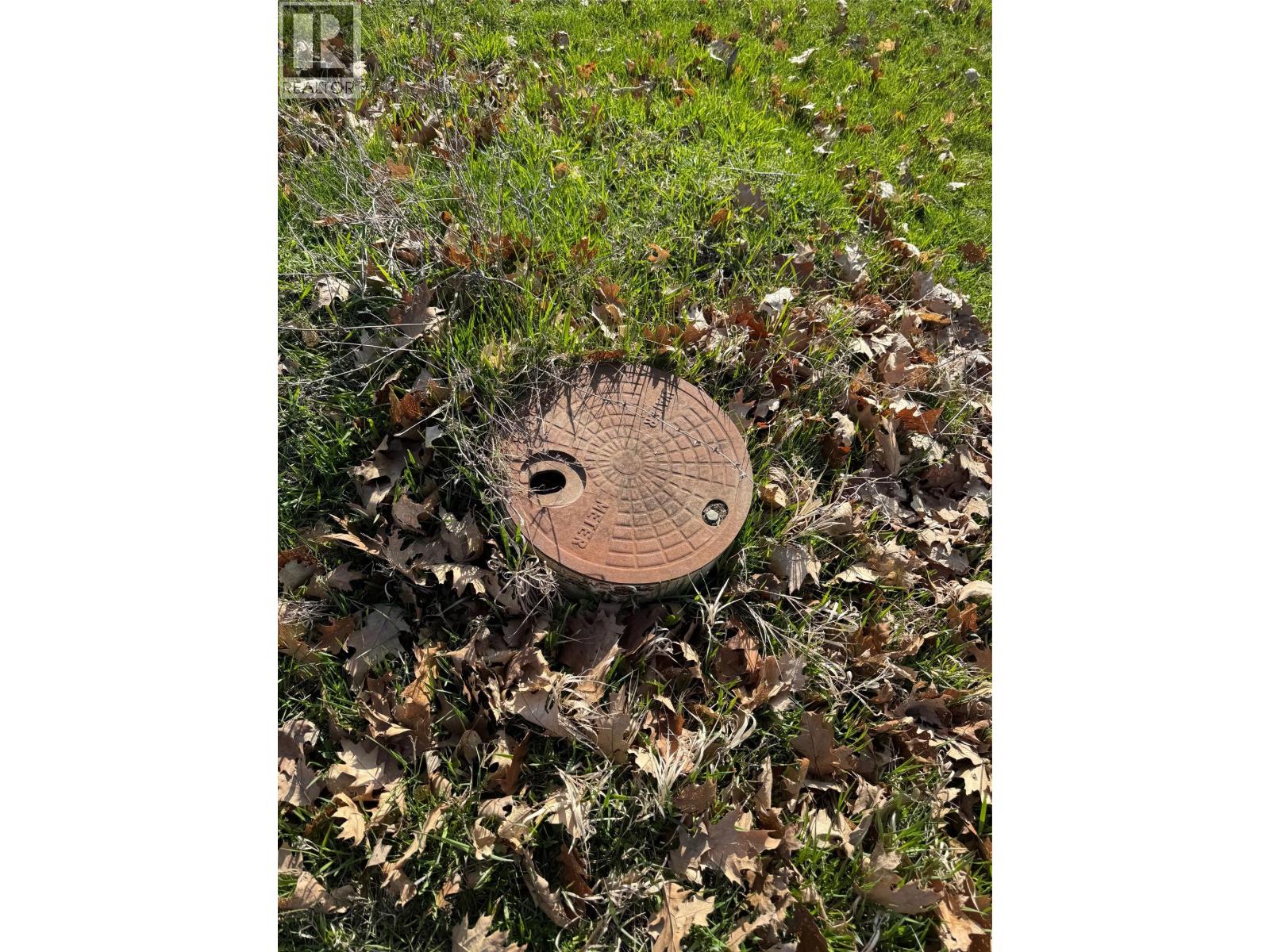 Lot H Oak Street, Fauquier, British Columbia V0G 1K0 - Photo 10 - 10398845