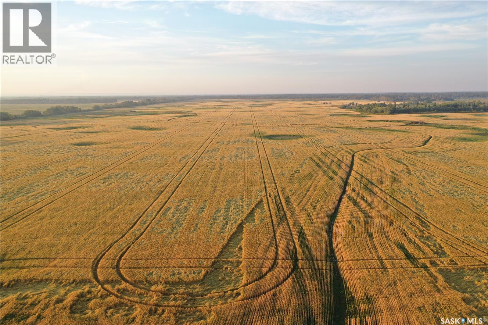 Temple Land Ltd., Hudson Bay Rm No. 394, Saskatchewan  S0A 0A9 - Photo 8 - SK046713