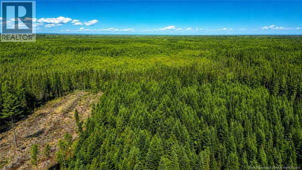 61 Coffin Road, Miramichi Road, New Brunswick