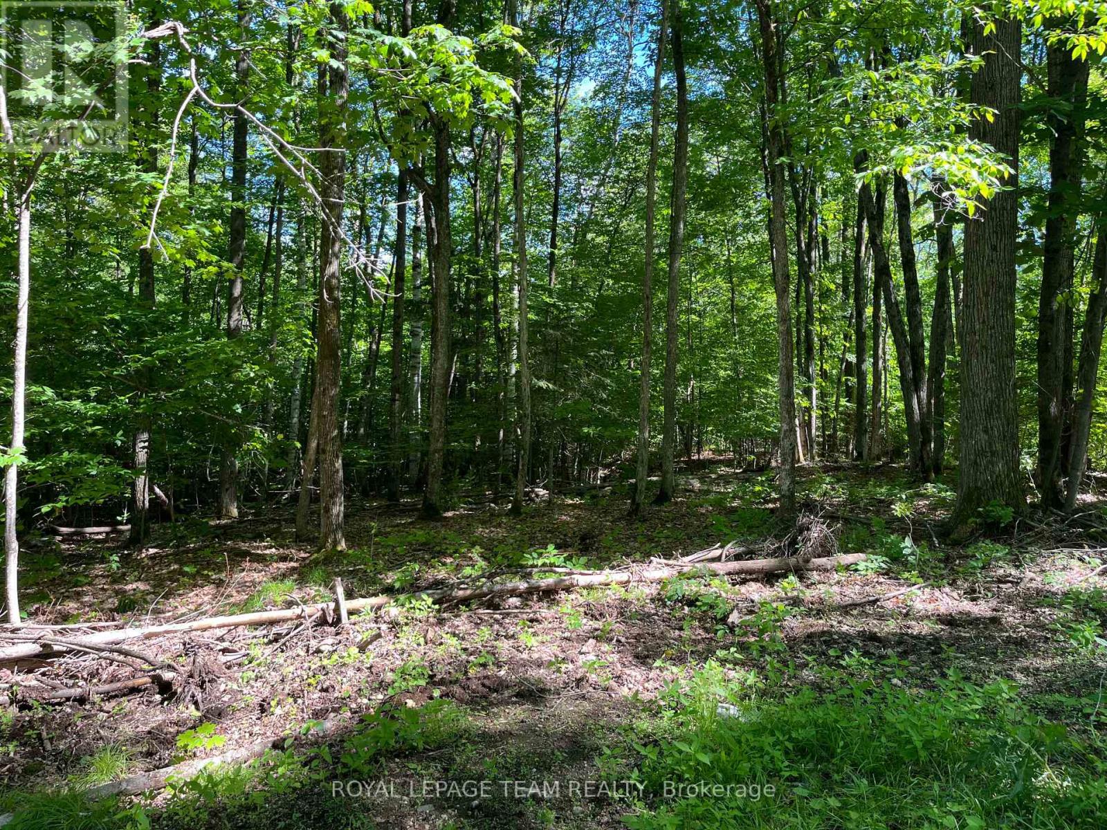 00 Siberia Road, Madawaska Valley, Ontario K0J 1B0 - Photo 2 - X13715786