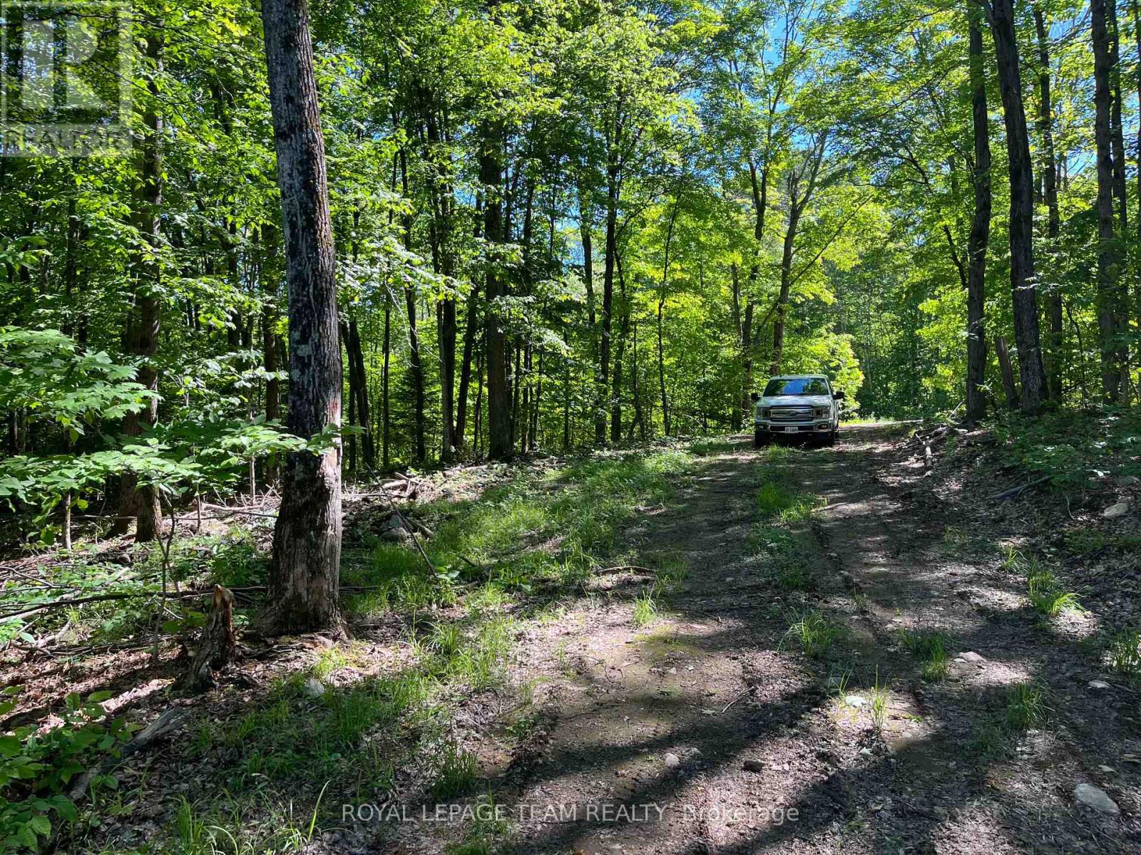 00 Siberia Road, Madawaska Valley, Ontario K0J 1B0 - Photo 3 - X13715786