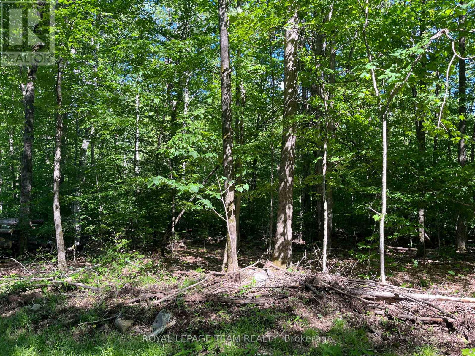 00 Siberia Road, Madawaska Valley, Ontario  K0J 1B0 - Photo 4 - X13715786