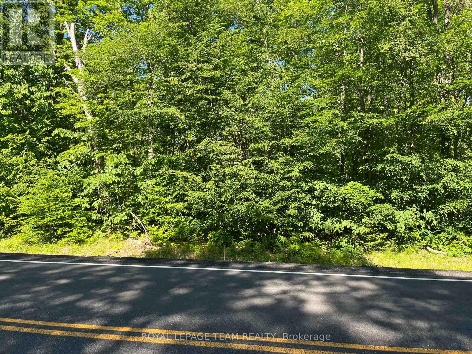 01 Siberia Road, Madawaska Valley, Ontario K0J 1B0 - Photo 2 - X13715792
