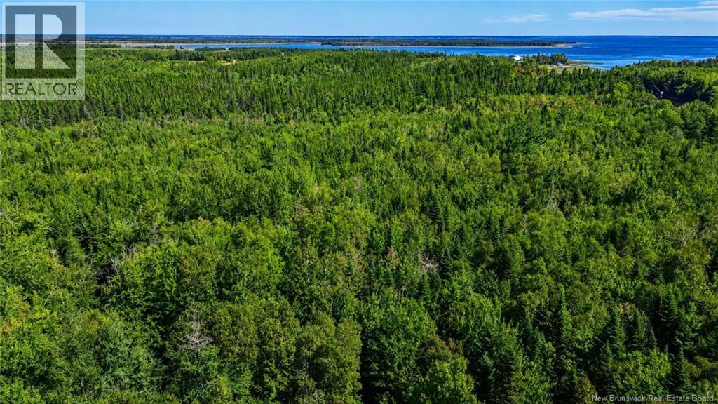 Lot Rue Morais, Bas-Caraquet, New Brunswick  E1W 6A6 - Photo 2 - NB144806