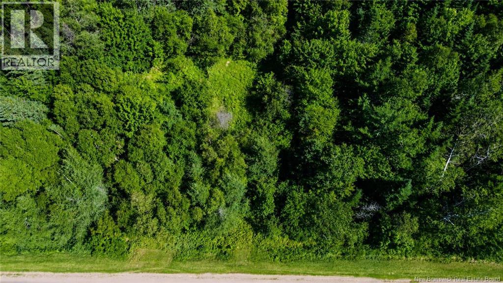 Lot Rue Morais, Bas-Caraquet, New Brunswick  E1W 6A6 - Photo 3 - NB144806