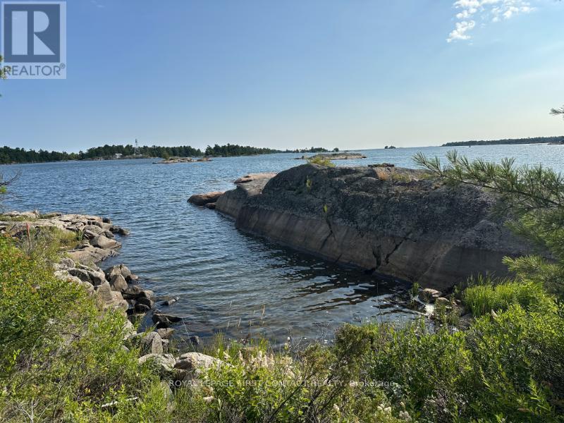 1 A207 Island, The Archipelago, Ontario  P0G 1K0 - Photo 45 - X13715768