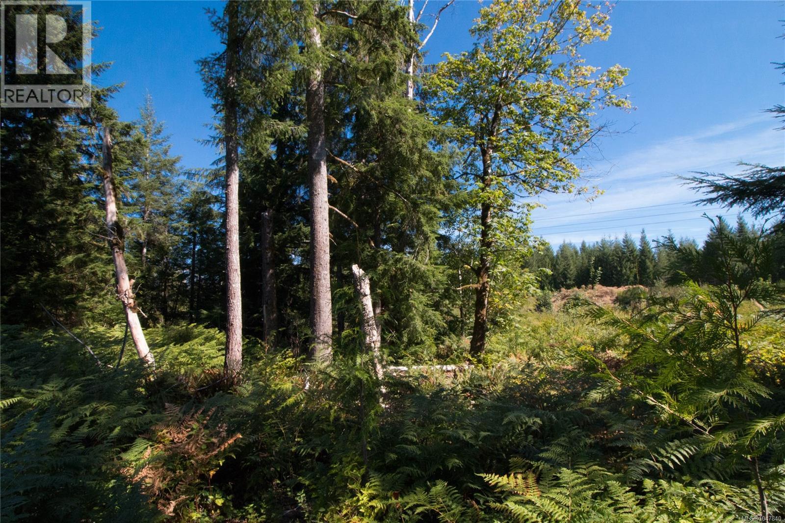 Lt 8 South Farnham Rd, Merville, British Columbia  V9J 1N6 - Photo 10 - 1047840