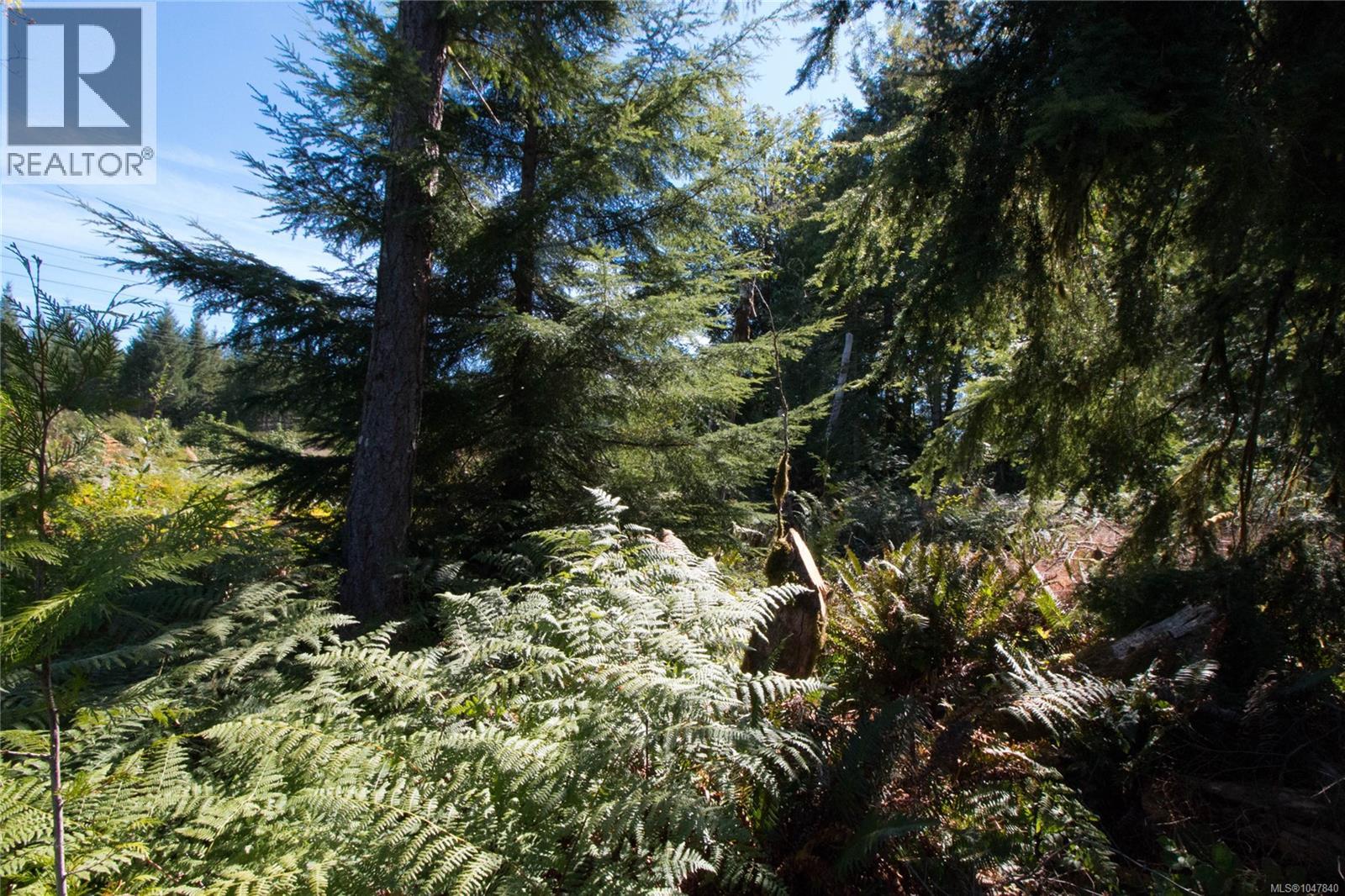 Lt 8 South Farnham Rd, Merville, British Columbia  V9J 1N6 - Photo 11 - 1047840