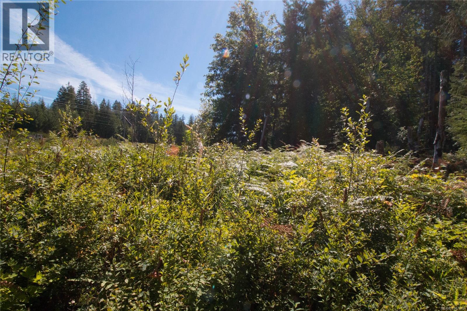 Lt 8 South Farnham Rd, Merville, British Columbia  V9J 1N6 - Photo 12 - 1047840