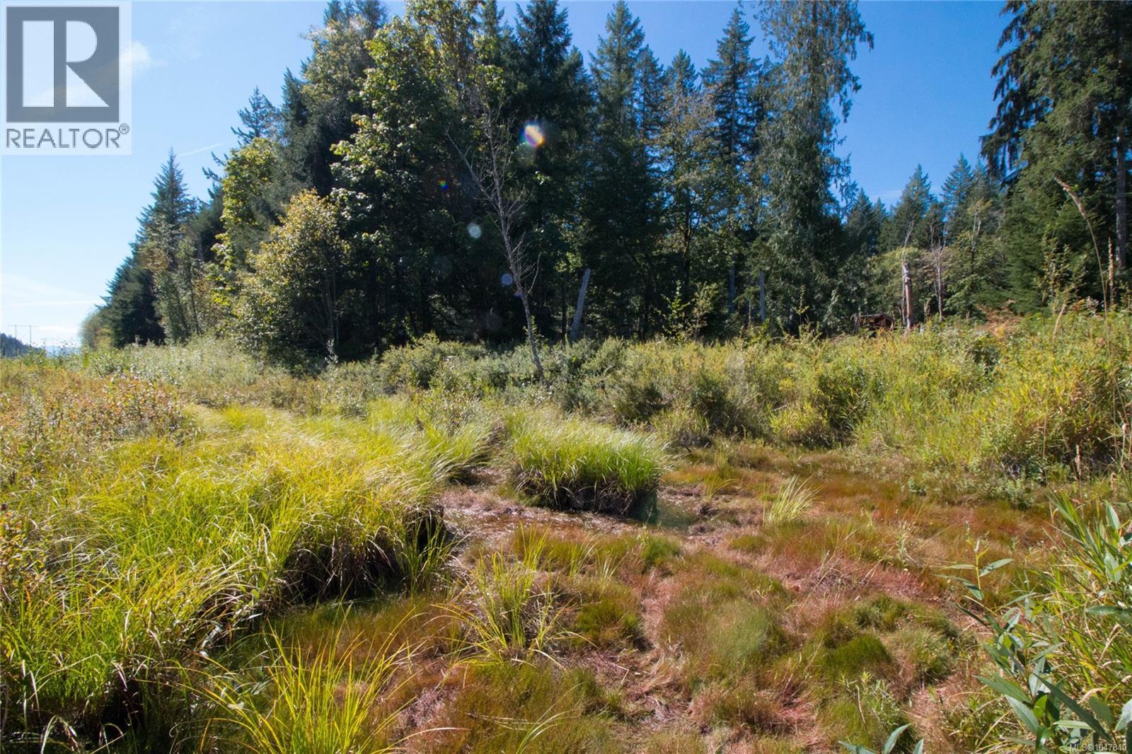 Lt 8 South Farnham Rd, Merville, British Columbia  V9J 1N6 - Photo 13 - 1047840