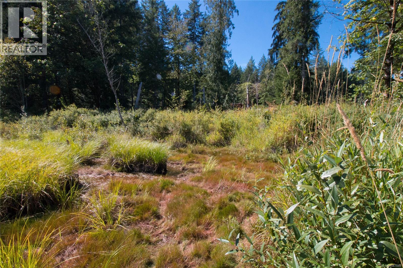 Lt 8 South Farnham Rd, Merville, British Columbia  V9J 1N6 - Photo 14 - 1047840