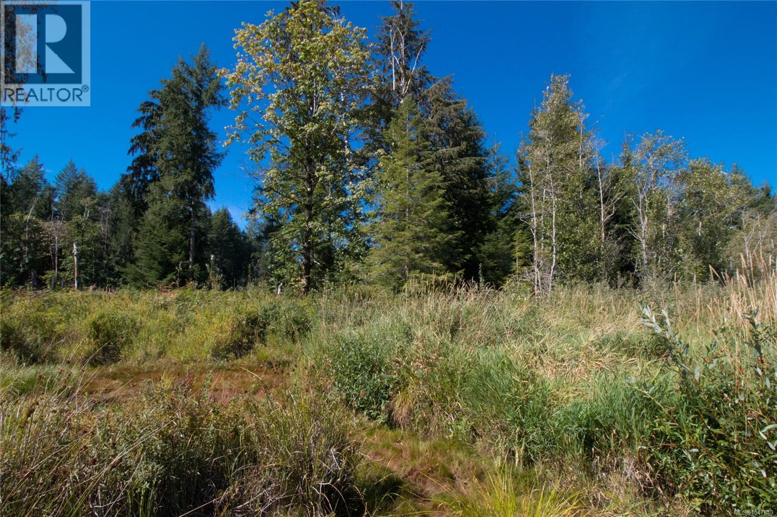 Lt 8 South Farnham Rd, Merville, British Columbia  V9J 1N6 - Photo 15 - 1047840