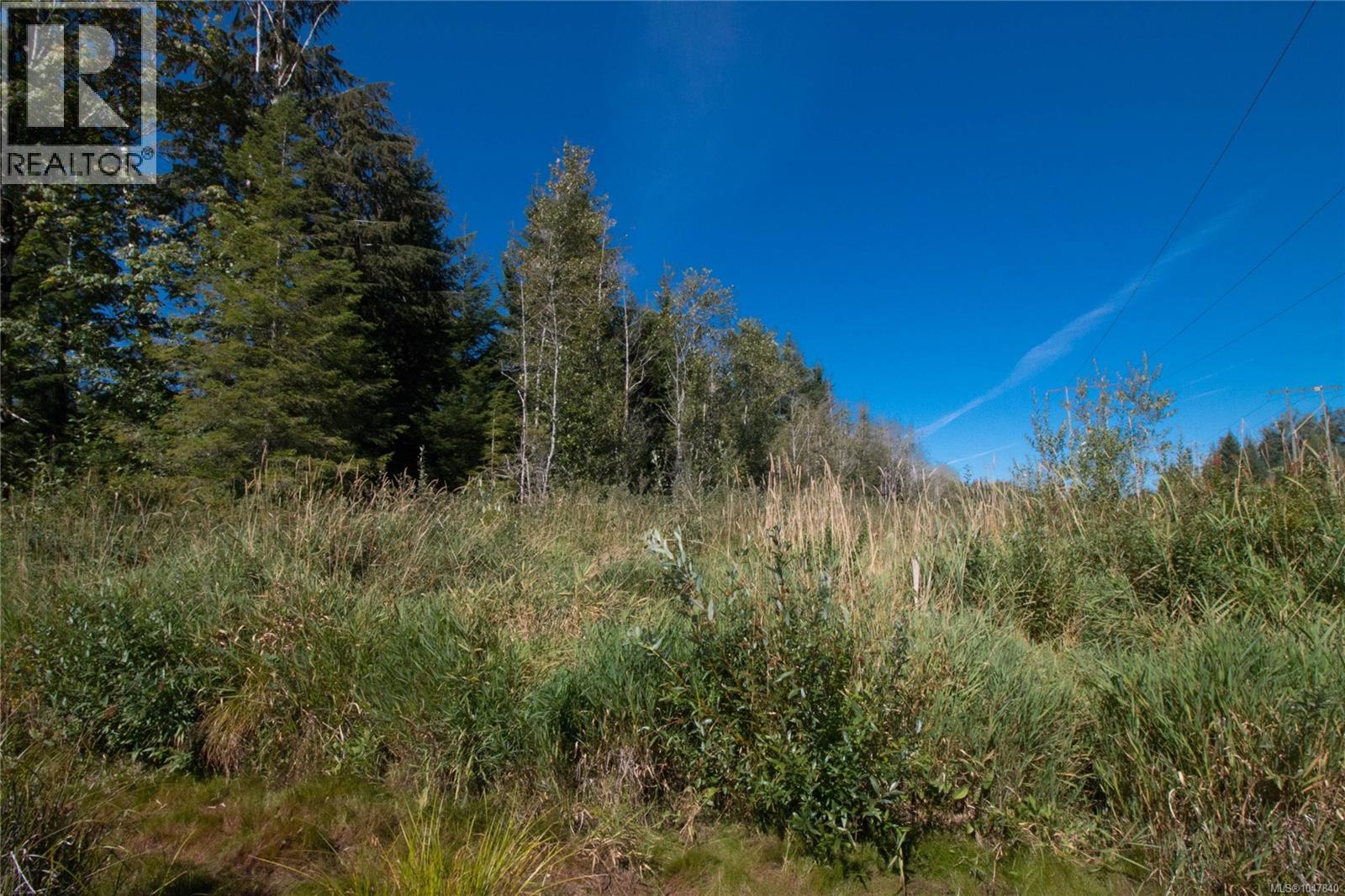 Lt 8 South Farnham Rd, Merville, British Columbia  V9J 1N6 - Photo 16 - 1047840