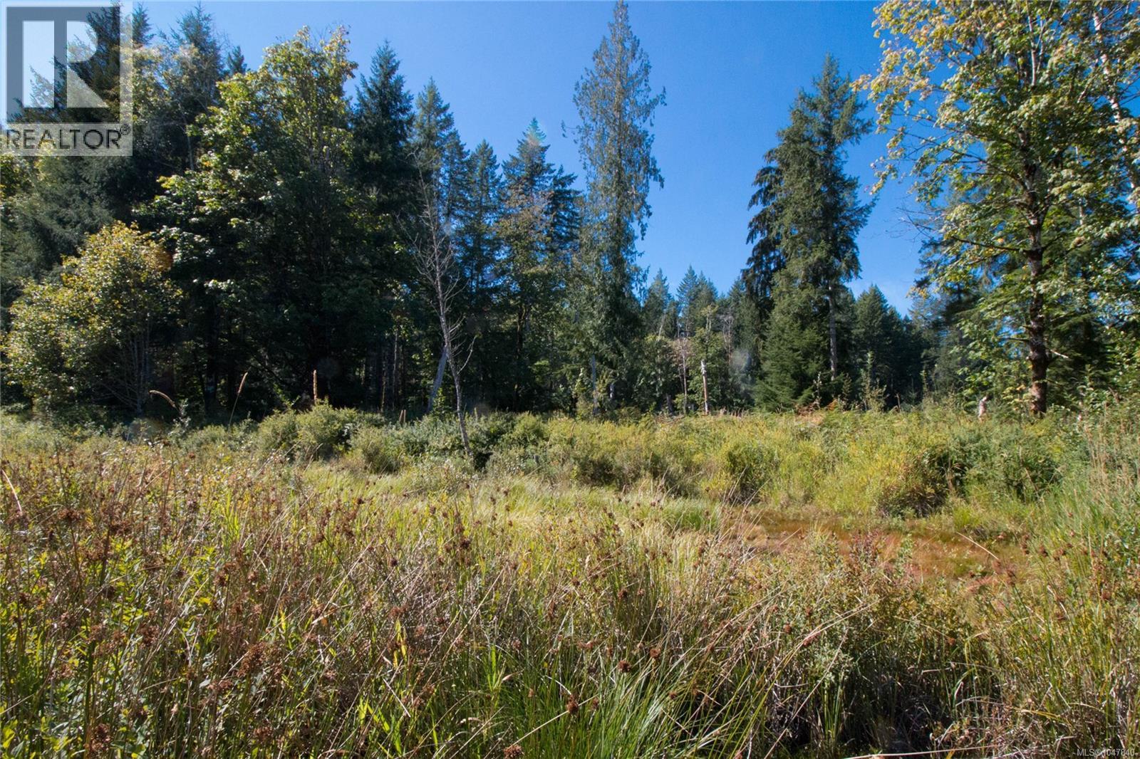 Lt 8 South Farnham Rd, Merville, British Columbia  V9J 1N6 - Photo 17 - 1047840
