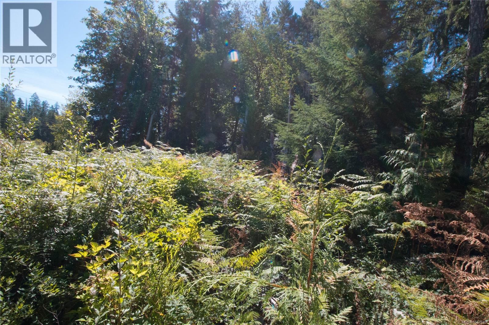 Lt 8 South Farnham Rd, Merville, British Columbia  V9J 1N6 - Photo 18 - 1047840