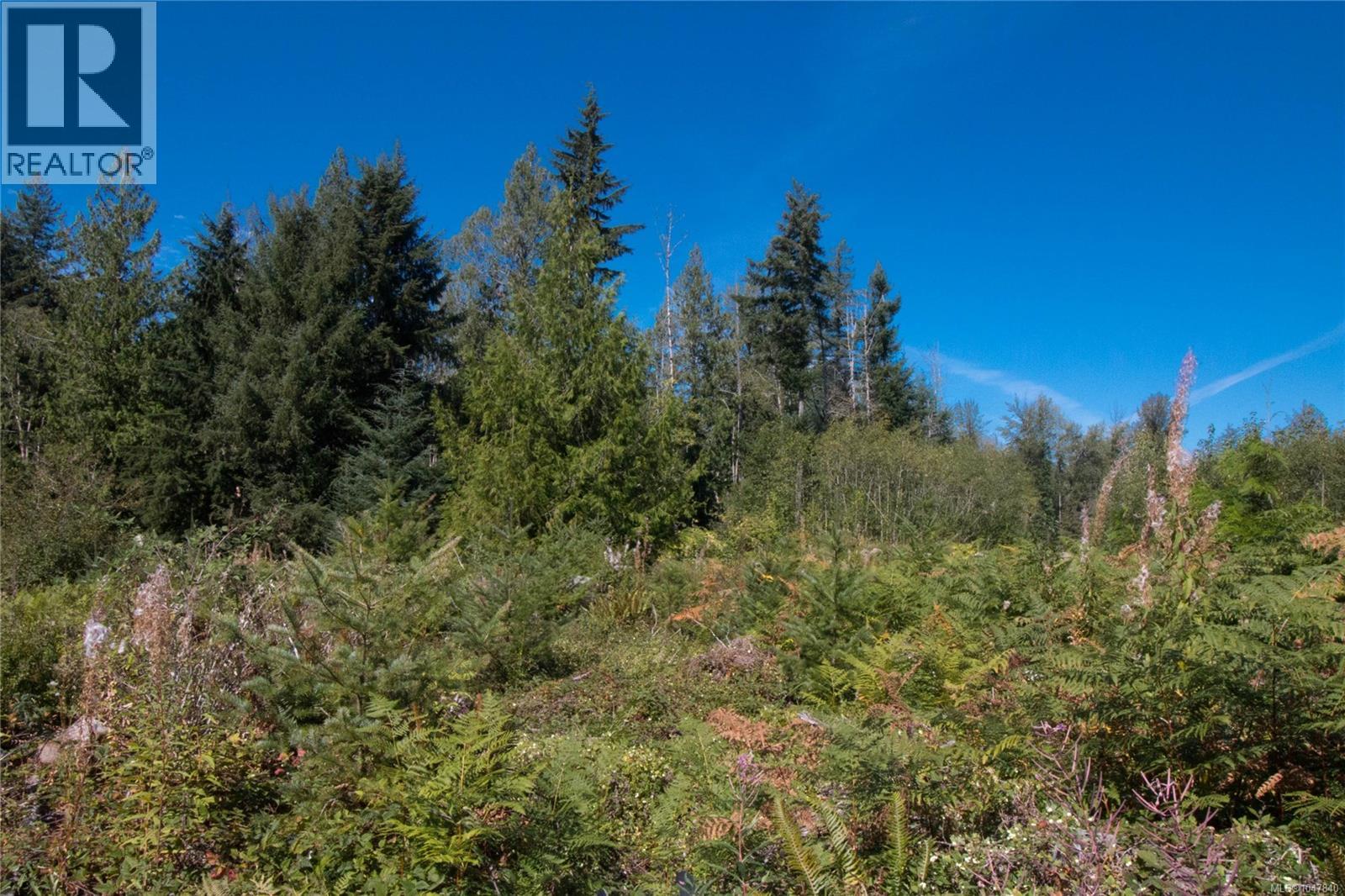 Lt 8 South Farnham Rd, Merville, British Columbia  V9J 1N6 - Photo 19 - 1047840