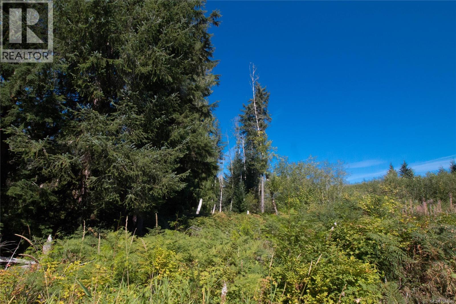 Lt 8 South Farnham Rd, Merville, British Columbia  V9J 1N6 - Photo 5 - 1047840