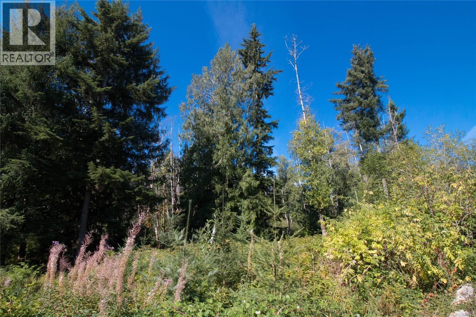 Lt 8 South Farnham Rd, Merville, British Columbia  V9J 1N6 - Photo 6 - 1047840