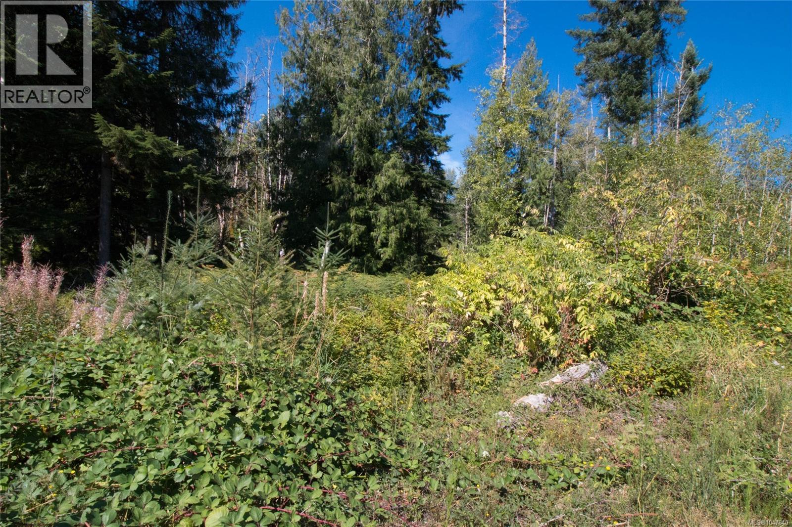 Lt 8 South Farnham Rd, Merville, British Columbia  V9J 1N6 - Photo 7 - 1047840