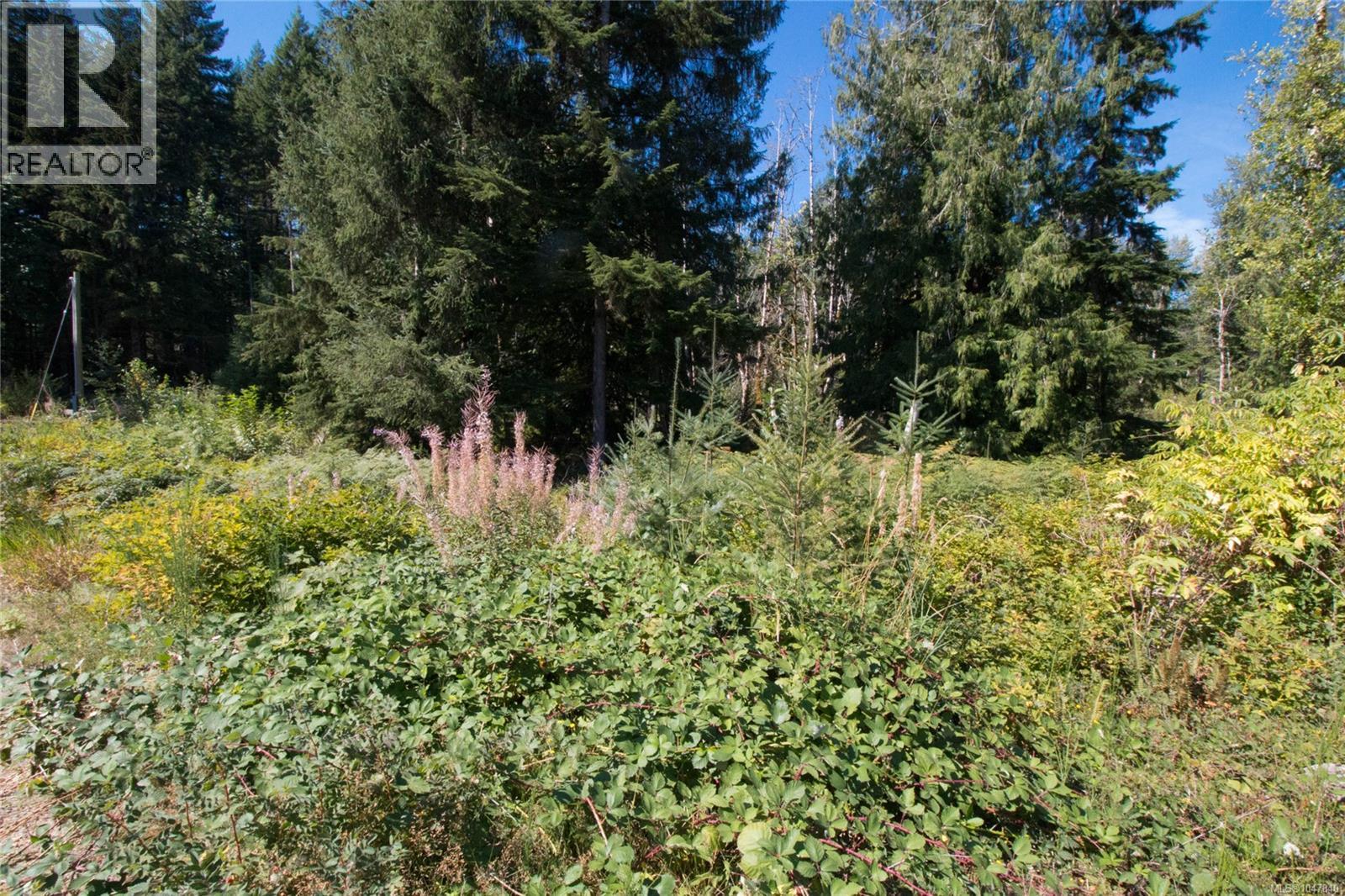 Lt 8 South Farnham Rd, Merville, British Columbia  V9J 1N6 - Photo 8 - 1047840