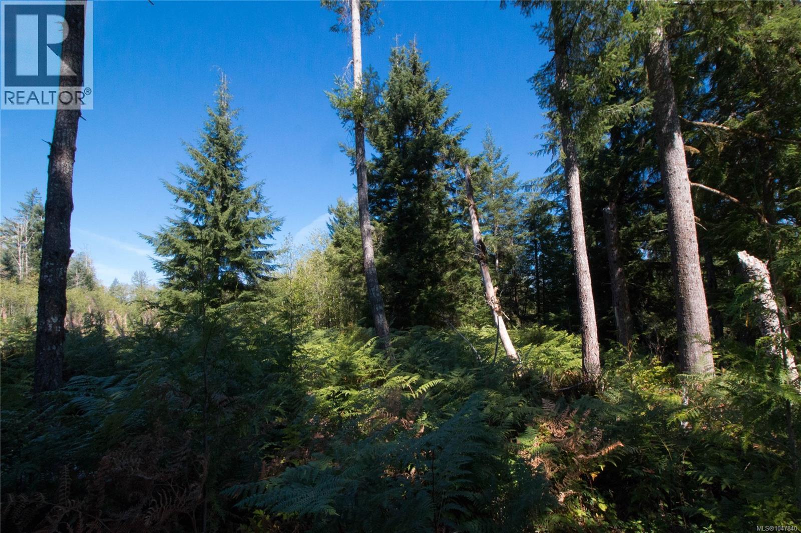 Lt 8 South Farnham Rd, Merville, British Columbia  V9J 1N6 - Photo 9 - 1047840