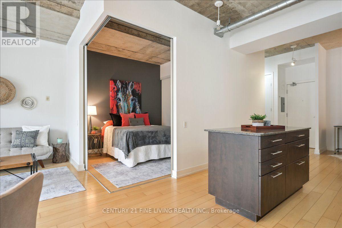 211 - 66 Portland Street, Toronto, Ontario  M5V 2M6 - Photo 29 - C13715854